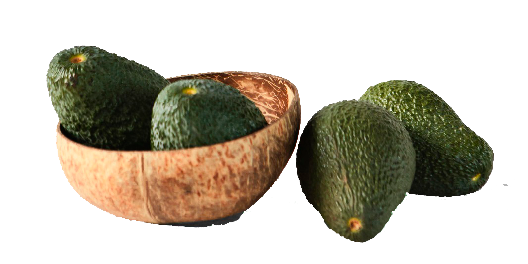 Avocado